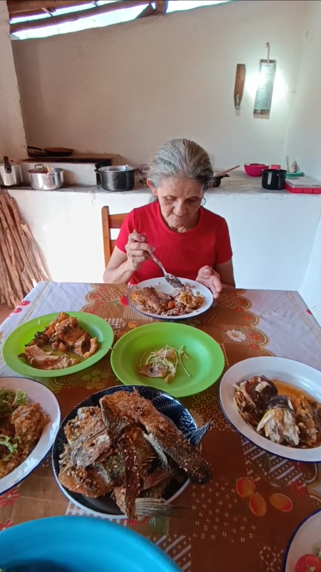Almoço no Sítio com Minha Mãe Fartura #caipira #agricultura #vidanaroça